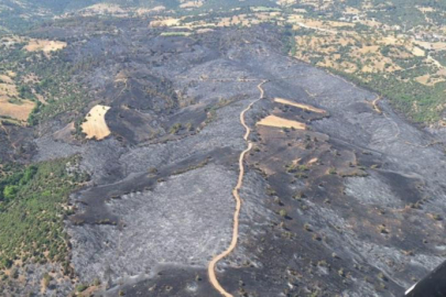 Bursa'da ormanlar küllerinden doğuyor