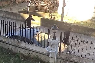 Bursa'da kapkaççılar finişi göremedi