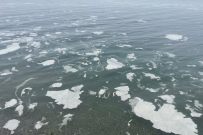 Mudanya'yı müsilaj sardı, deniz beyaz tabakayla örtüldü