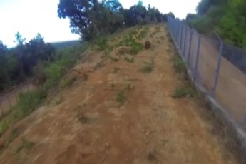 Bursa'da 30 saattir firar olan ayı halen aranıyor