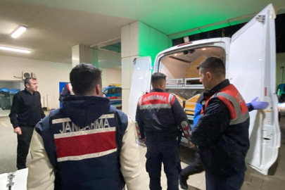 Ormanlık alanda korkunç cinayet: Dili ve kulakları kesildi