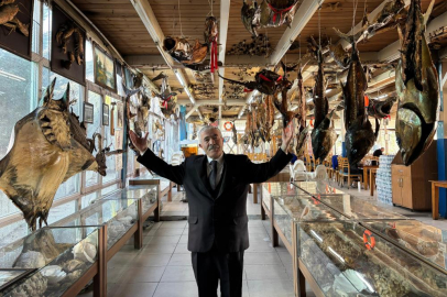 Türkiye Deniz Canlıları Müzesi öğrencileri bekliyor