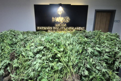 Bursa'da GDO'lu esrar operasyonu