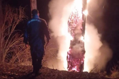 Yıldırımın düştüğü ağaç küle döndü