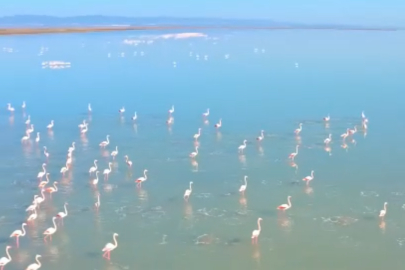 Türkiye'de 131 sulak alan koruma altında