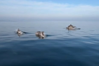 Bursa'da balık tutmaya gitti, yunusları görünce her şeyi unuttu