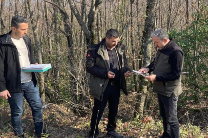 Bursa Ormanlarındaki ağaçlar tek tek kontrol edildi