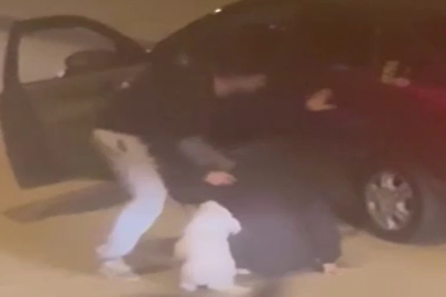 Dehşet anları kamerada: Genç kıza ve köpeğine saldırdı