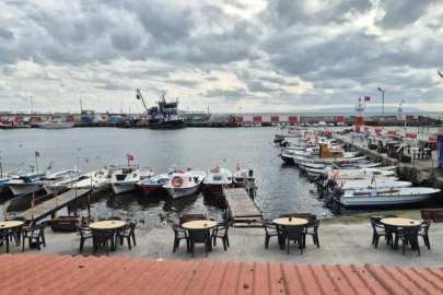 Marmara'da deniz ulaşımına poyraz engeli