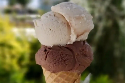 Şubatın zam şampiyonu dondurma