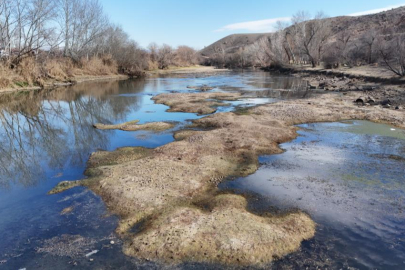 Türkiye'nin en uzun nehri kuruyor