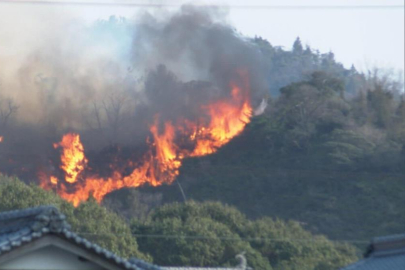 Japonya’da orman yangını alarmı