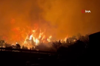 Japonya’da orman yangını alarmı