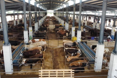 İnegöl hayvan pazarının kotra ihale tarihi belli oldu