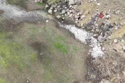 Bursa'da çevre sorunu: Su oranı ciddi oranda çekildi