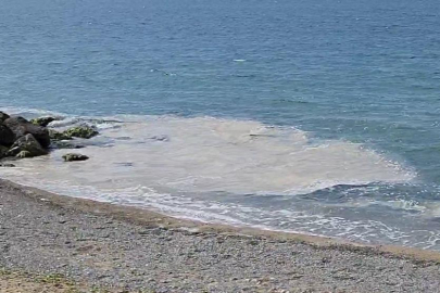 Yalova kıyılarında müsilaj görüldü