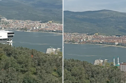 Gemlik Körfez'inde müsilaj tedirginliği
