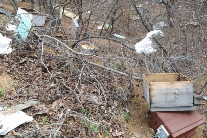 Fırtınada arı kovanları telef oldu