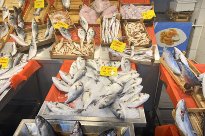 Yasak kapıda: Balıkçılar sezonun son siftahlarını yapıyor