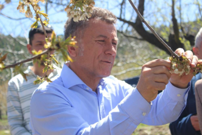 Uludağ'ın güneyi dondu