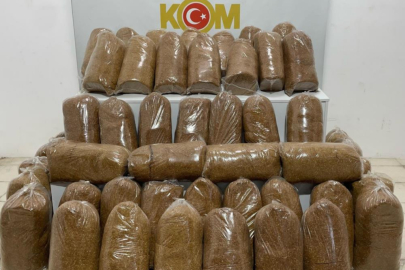 240 kilo kaçak tütün ele geçirildi