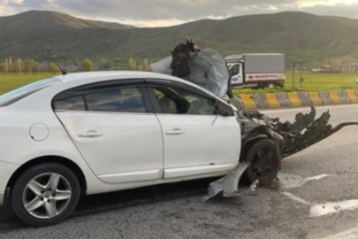 Otomobil hayvana çarptı: 1 yaralı