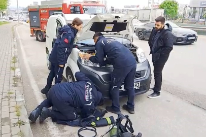 Bursa'da itfaiye ekiplerinden kedi kurtarma operasyonu