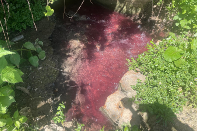 Gedelek Deresi'nin rengi değişti, uzmanlar ve çiftçiler tepkili
