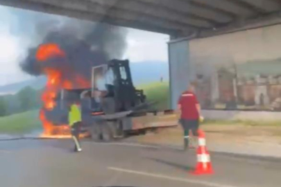 Bursa'da seyir halindeki kamyon alevlere teslim oldu