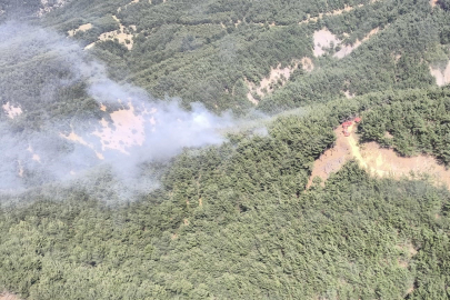 Gökçeada’da orman yangını