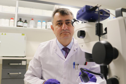 Uzmanı uyardı: "Hayvanların üzerindeki keneler elle koparılmamalı"