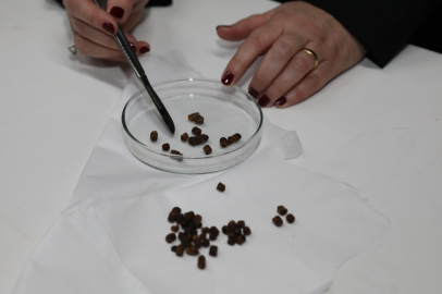 BTÜ’nün tıbbi buluşuna uluslararası patent