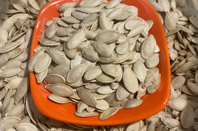 Salmonella tehlikesi tarladan sofraya: 'Geri Çağırma Sistemi' neden önemli?