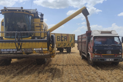 Yılın ilk buğdayı tonu 17 bin liradan satıldı