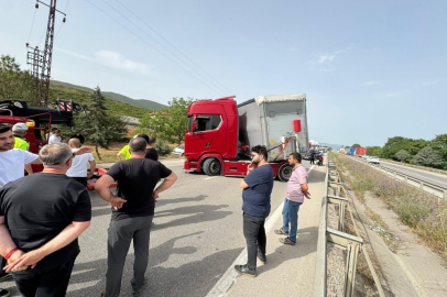 Bir arının yaptığına bak...Yüzlerce kişiyi mağdur etti
