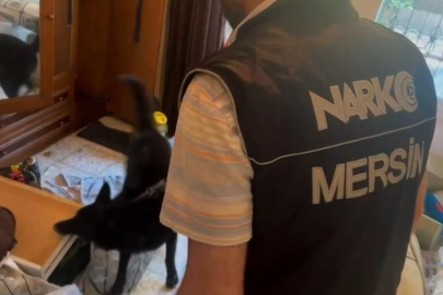 Zehir taciri kilolarca uyuşturucu ve 375 bin TL ile yakalandı