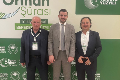 Ahşap palet sektöründen çağrı: Palet havuzu modeli için hazırız