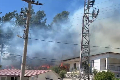 Marmaris’te orman yangını
