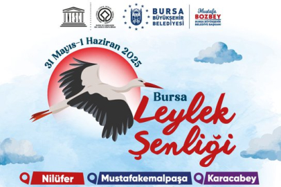 Bursa Leylek Şenliği başlıyor: Renkli bir hafta sonuna hazır mısınız?