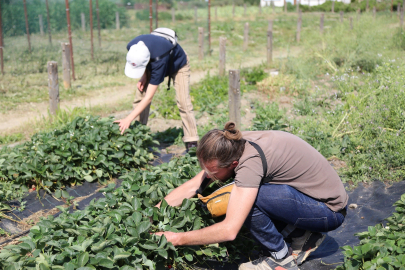 Marsilya’dan Nilüfer’e tarımsal iş birliği ziyareti