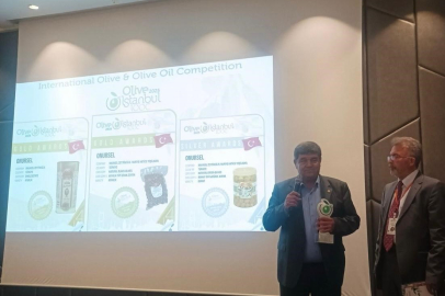 Altınova’dan dünyaya: Ayvalık zeytinine üç uluslararası ödül