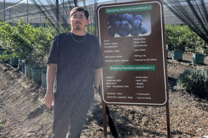 Bursa'da üniversiteli genç evinde ölü bulundu