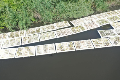 Marmara Denizi'ndeki müsilajı bitirecek projenin ilk adımı Bursa'da atıldı