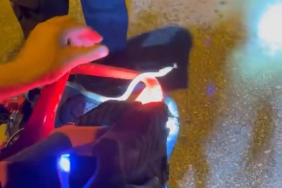 Bursa'da yılan paniği: İtfaiyecinin cesareti takdir topladı