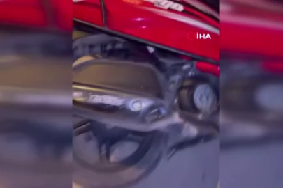 Bursa'da yılan paniği: İtfaiyecinin cesareti takdir topladı