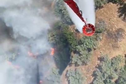 Söke'deki yangına havadan müdahale yapılıyor