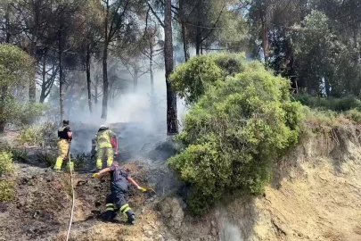 Bursa'da orman yangını paniği: Alevler büyümeden söndürüldü