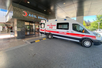 Ahırda süt sağan kadını kene ısırdı