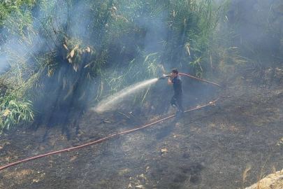 Çalılık alandaki yangında 1 dönümlük alan zarar gördü