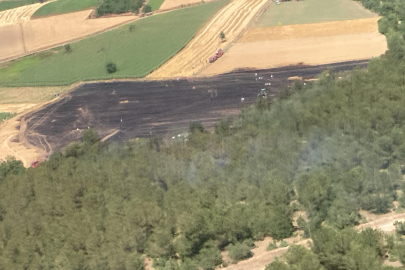 Bursa’da korkutan yangın: Tarlada başladı, ormanlık alana sıçradı